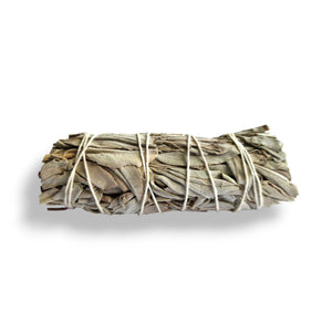 White Sage Smudge Stick
